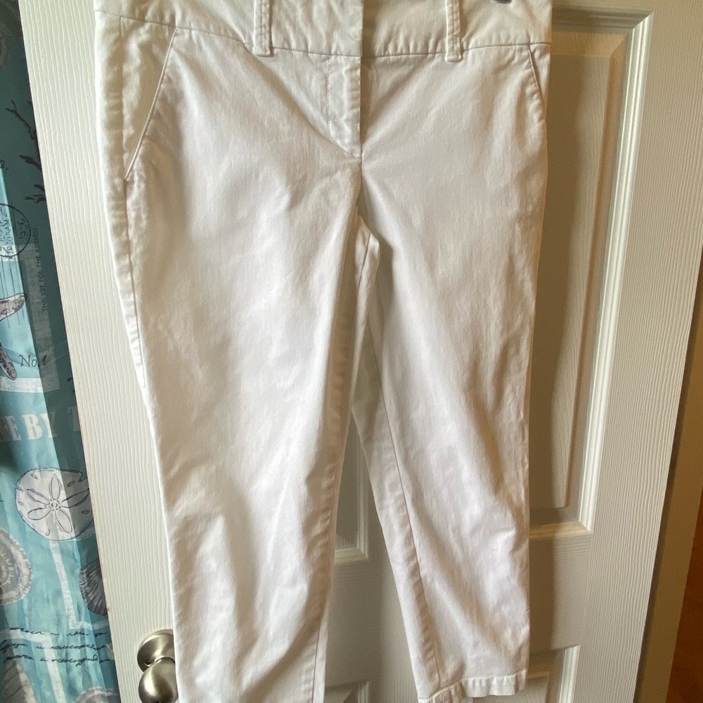 💐White cotton crops- the summer staple- size 4P
